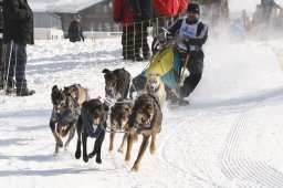 Lenk 2012 SM